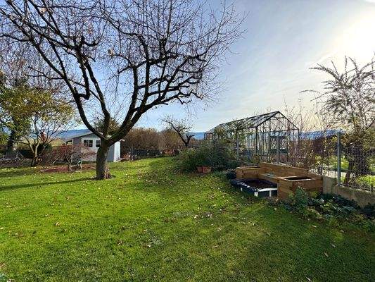 Blick in den Garten (SNR)