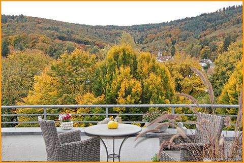 Heidelberg / Ziegelhausen Wohnungen, Heidelberg / Ziegelhausen Wohnung kaufen