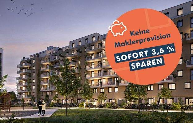 Roomeo S2 Eye9_Abend_04_button_pf