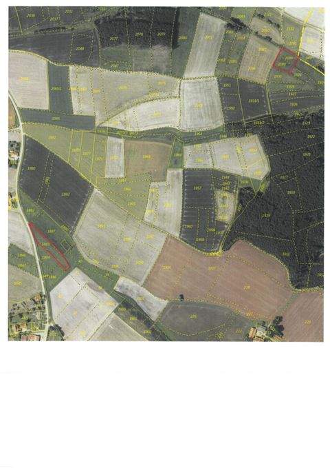 Inning am Holz Bauernhöfe, Landwirtschaft, Inning am Holz Forstwirtschaft