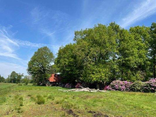 Ansicht von der Straße