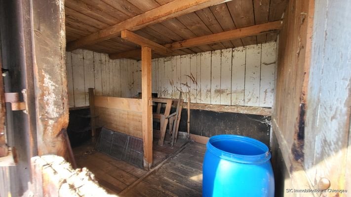Pferdebox, Blick nach innen