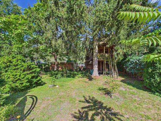 Idyllischer Baumbestand