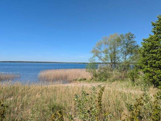 Großer Goitzschesee