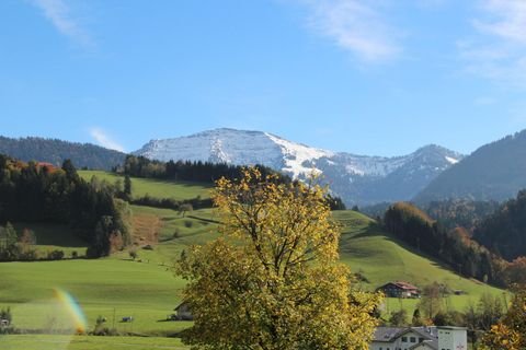 Oberstaufen Häuser, Oberstaufen Haus kaufen