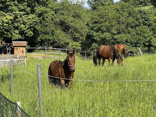 1 Startfoto vergroße