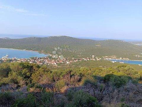 Ist - Molat Wohnungen, Ist - Molat Wohnung kaufen