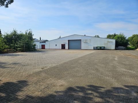 Papenburg Halle, Papenburg Hallenfläche