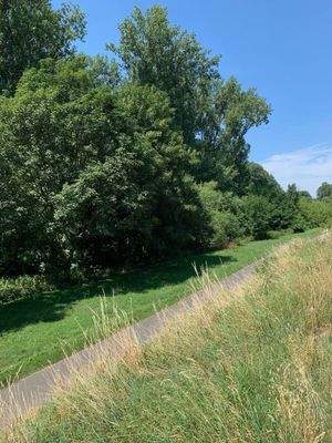 Weg zum Spielplatz und Fahrradweg 