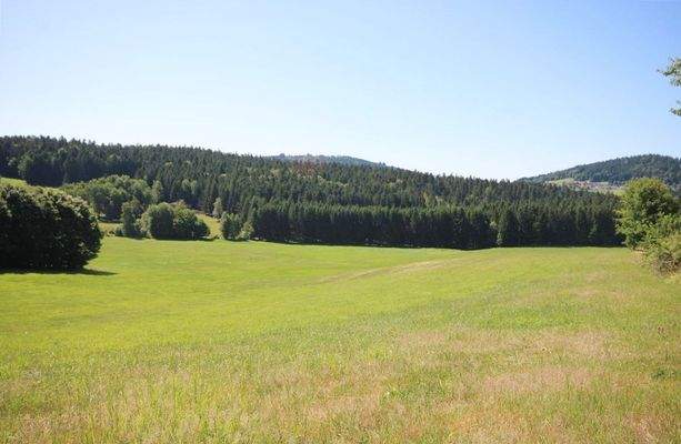 Blick auf das Grundstück