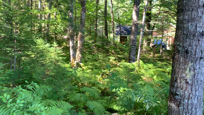 Nachbar links (Norden)