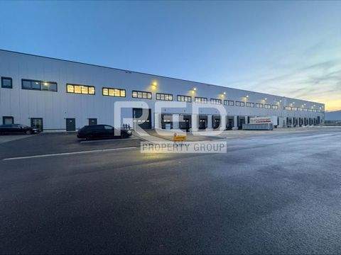 Nettetal Halle, Nettetal Hallenfläche