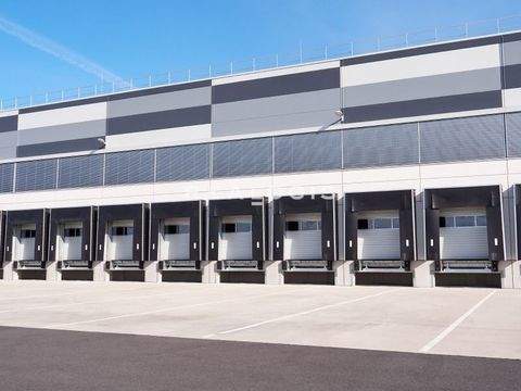 Großbeeren Halle, Großbeeren Hallenfläche