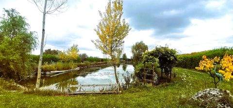 Oslip Grundstücke, Oslip Grundstück kaufen