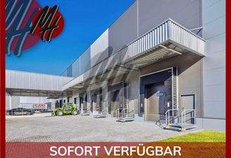 INFOS UNTER: 06171-586000