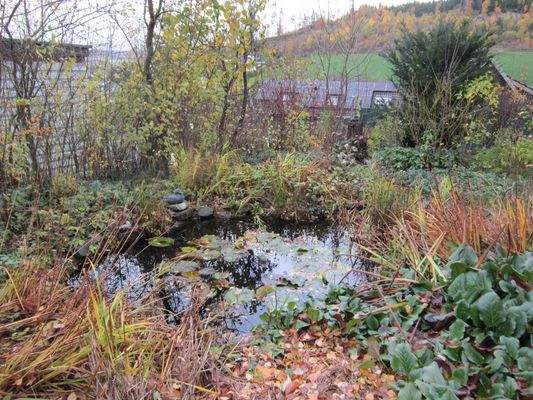 IMG_4235 - Kopie.JPG