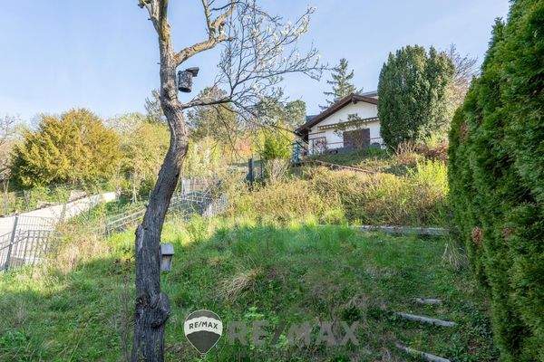 01_Garten Blick zum Sommerhaus