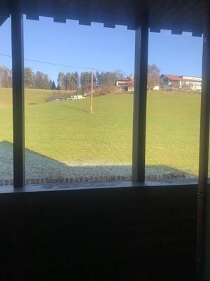 IMG_1579.jpg