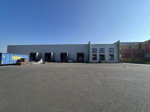 Neuss Halle, Neuss Hallenfläche