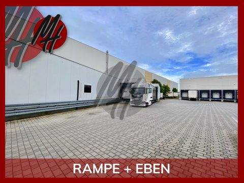 Kahl am Main Halle, Kahl am Main Hallenfläche