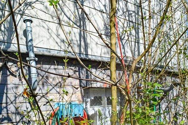 Details Fassade Bild 2