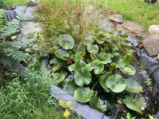 PHOTO-2023-11-02-17-12-42 9.jpg