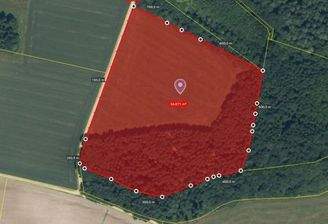Grundstück_mit_Wald_34672m²