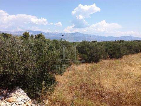 Brac Grundstücke, Brac Grundstück kaufen