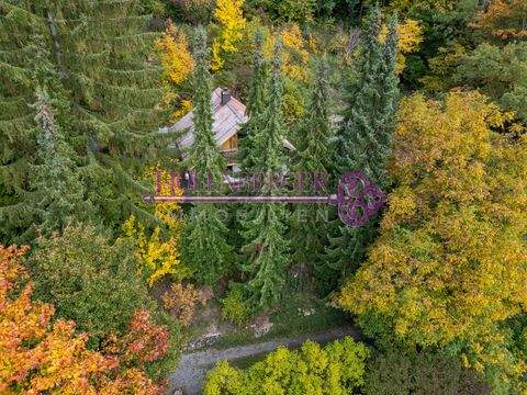 Regensburg Häuser, Regensburg Haus kaufen