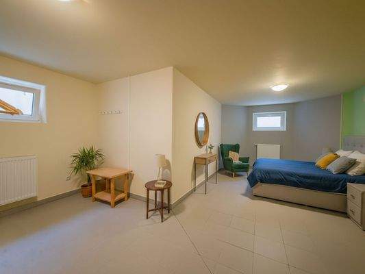 Beheizter Kellerraum (Visualisierung)