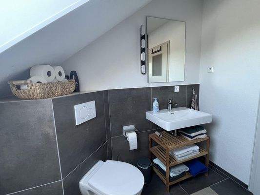 Badezimmer mit Dusche WC im DG