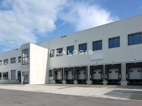 Heilbronn Halle, Heilbronn Hallenfläche