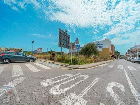 Alcúdia Grundstücke, Alcúdia Grundstück kaufen