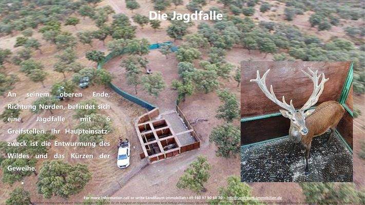 La Nueva Merced - Expose LRI - Deutsch-45.jpg