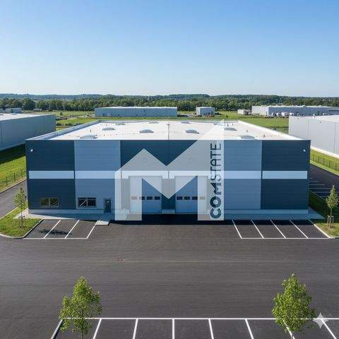 Niederkassel Halle, Niederkassel Hallenfläche