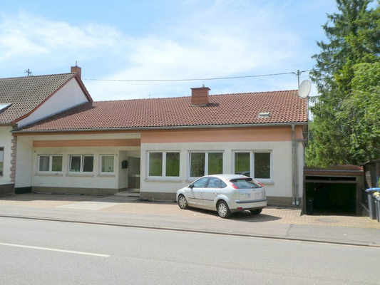 haus_kaufen_merzig_a20954 (66)