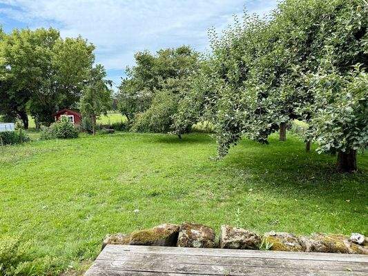 Blick von der Terrasse in den Garten