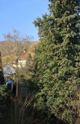 von dort: Blick zum Schönberg