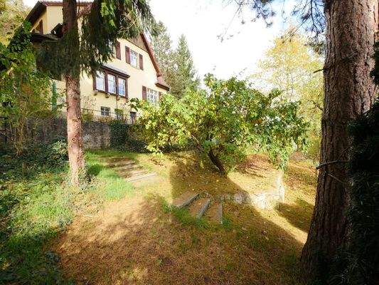  Beinah parkartiger GARTEN unterhalb des Hauses