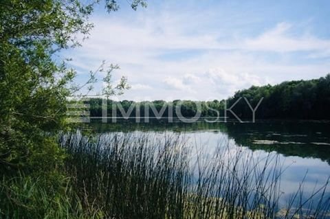 Gundelfingen an der Donau Wohnungen, Gundelfingen an der Donau Wohnung kaufen