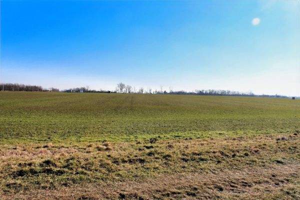 freier Blick in die Natur