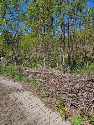 Blick von der Straße