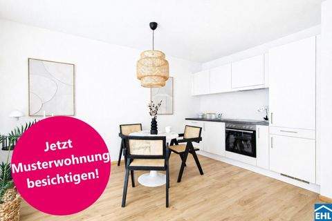 Wien Wohnungen, Wien Wohnung mieten