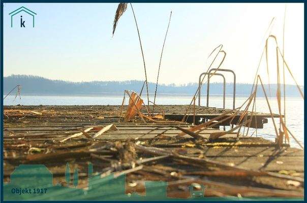 1917 Steganlage im Dornröschenschlaf.jpg