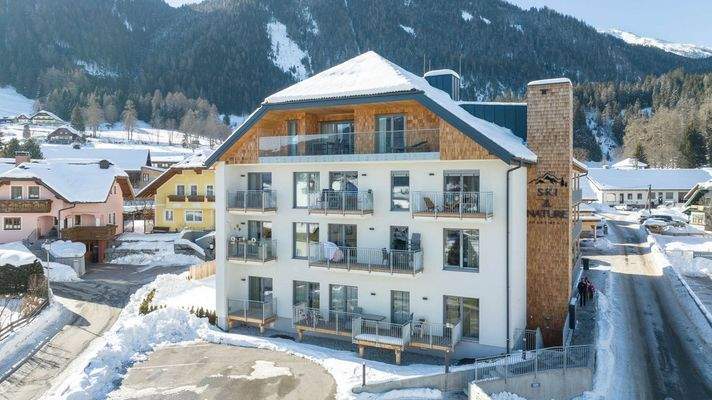 winter foto ski und nature