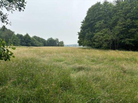 Clenze Bauernhöfe, Landwirtschaft, Clenze Forstwirtschaft