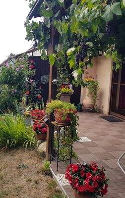 Sommerimpressionen (3).jpg