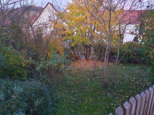 Blick Vordergarten.jpg