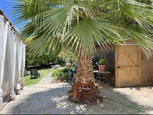 WhatsApp Image 2025-05-01 at 12.22.04 (1).jpeg