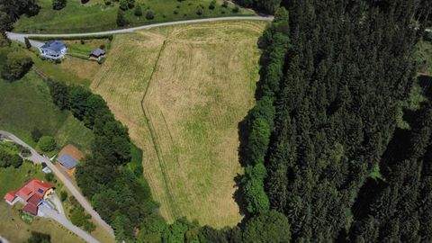 Eitweg Bauernhöfe, Landwirtschaft, Eitweg Forstwirtschaft